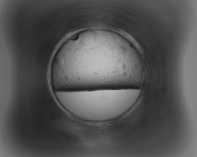 X0000100391432200806060824