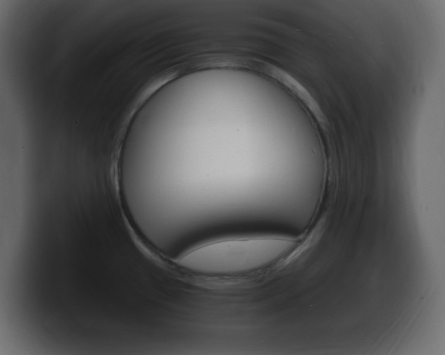 X0000100391433200806060824