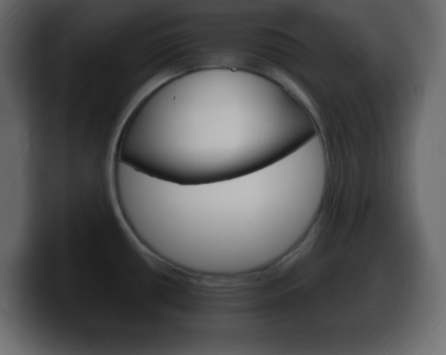 X0000100391434200806060824