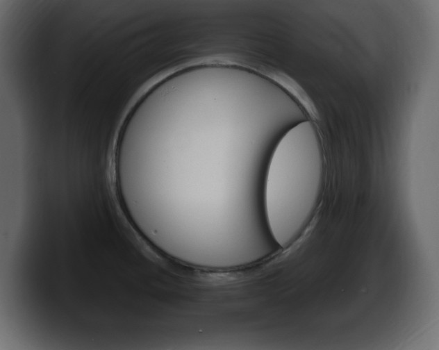 X0000100391436200806060824