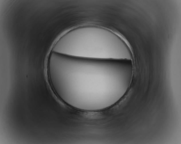 X0000100391437200806060824