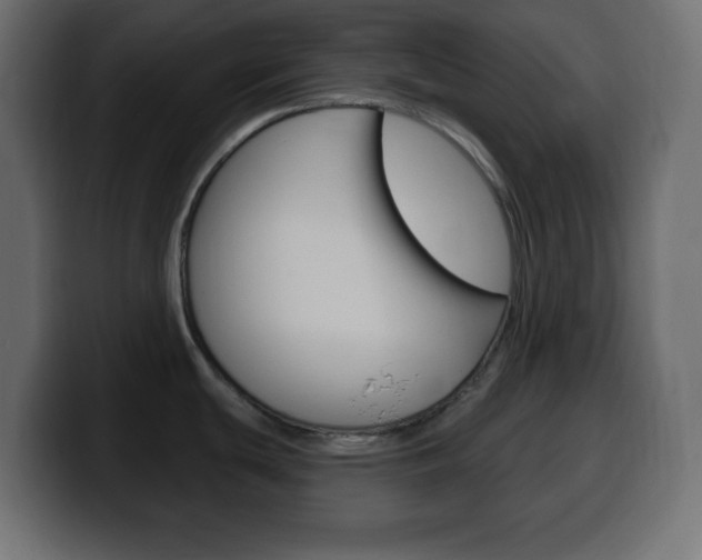 X0000100391439200806060824