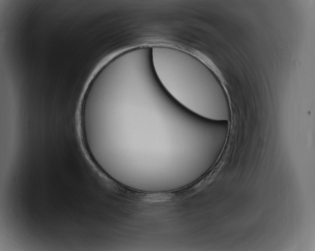 X0000100391440200806060824