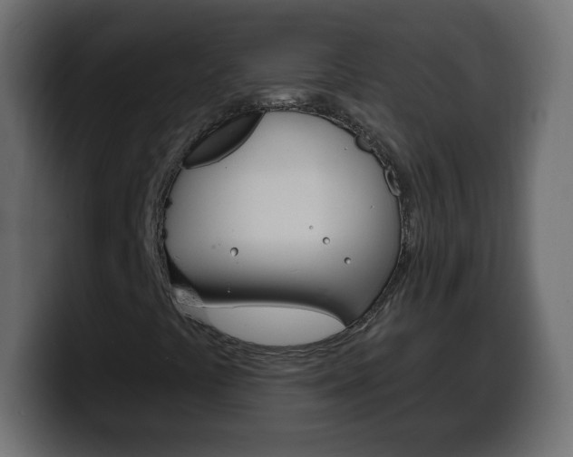 X0000100391441200806060824