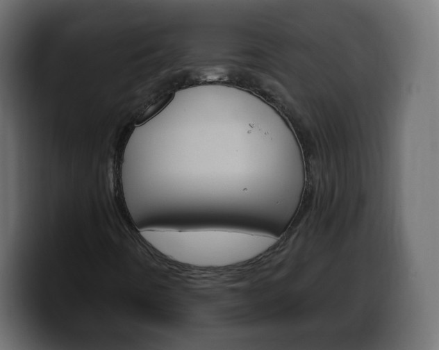 X0000100391442200806060824