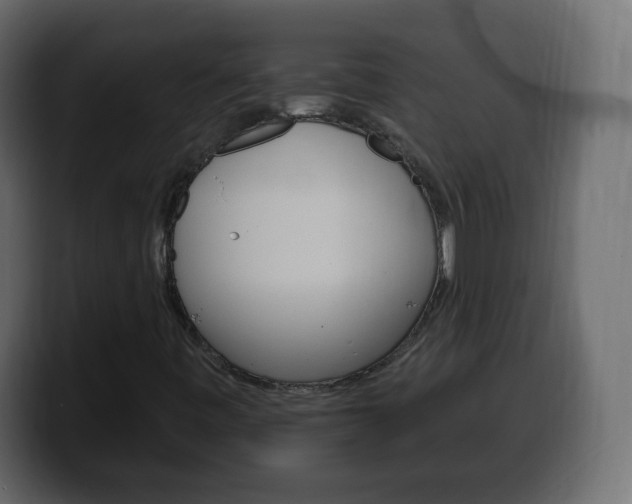 X0000100391443200806060824