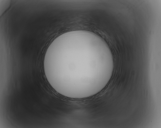 X0000100391444200806060824