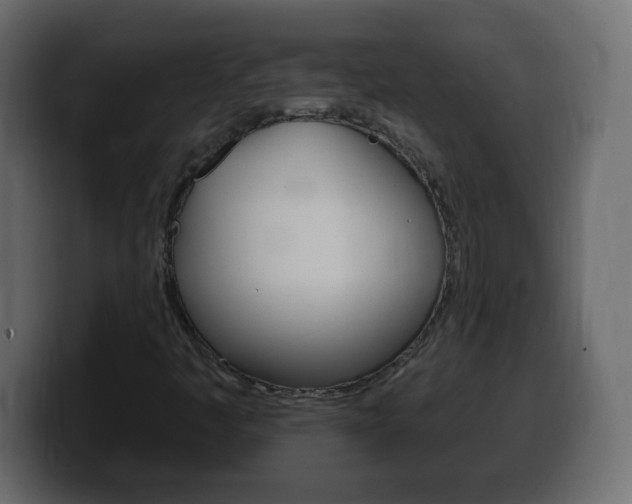X0000100391445200806060824