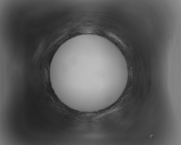 X0000100391446200806060824