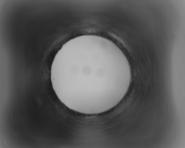 X0000100391447200806060823
