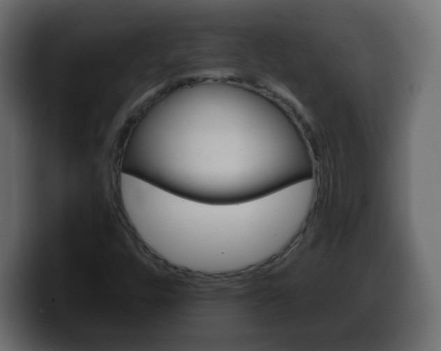 X0000100391448200806060823