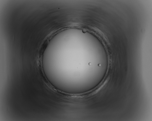 X0000100391449200806060823