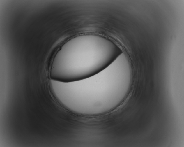 X0000100391450200806060823