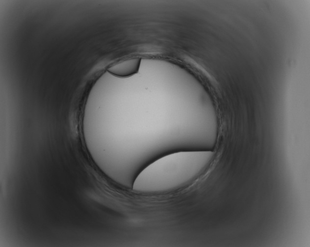 X0000100391451200806060823