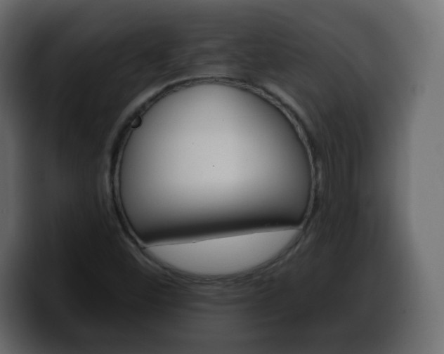 X0000100391452200806060823