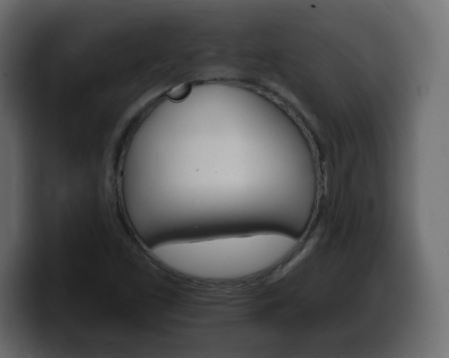 X0000100391453200806060823