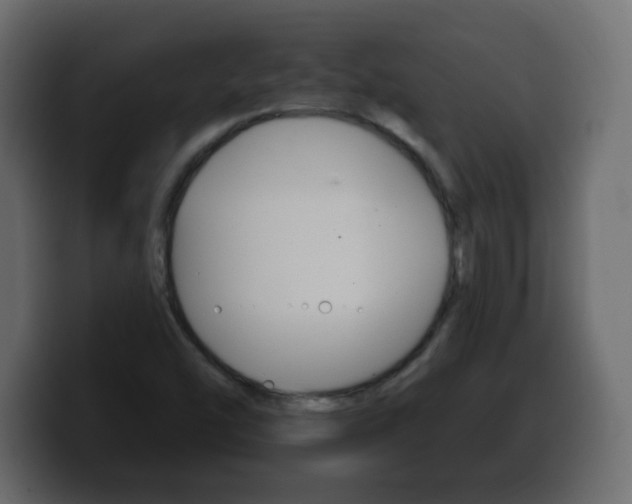 X0000100391454200806060823