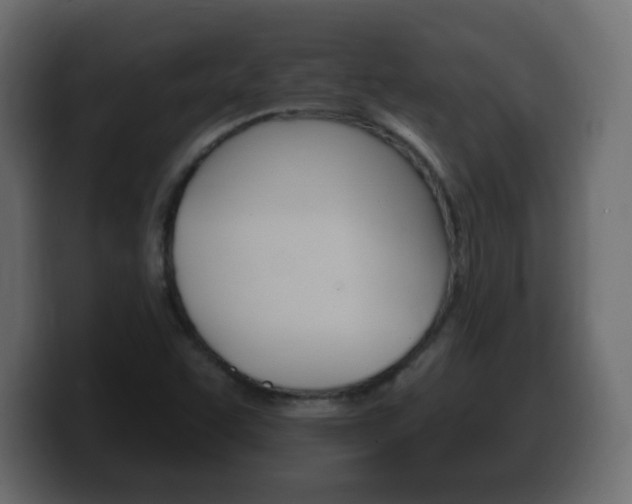 X0000100391455200806060823