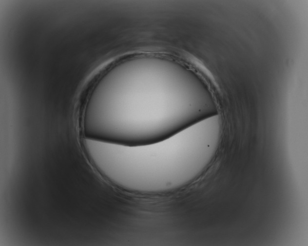 X0000100391456200806060823