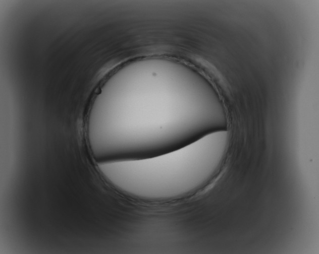 X0000100391457200806060823