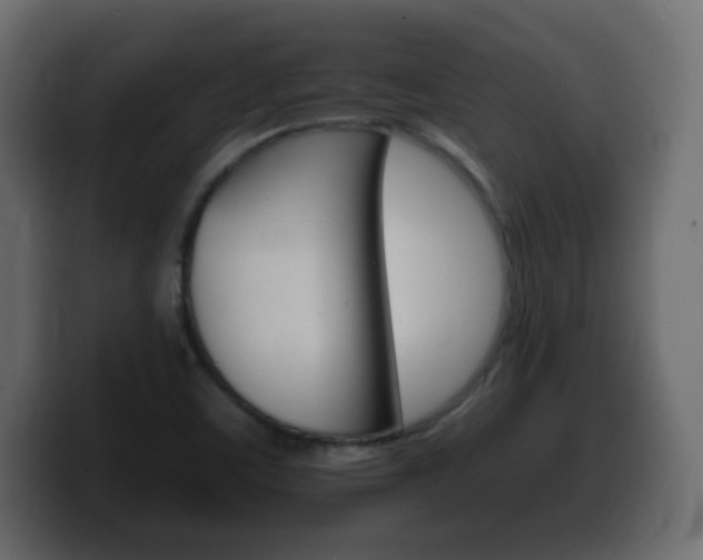 X0000100391459200806060823