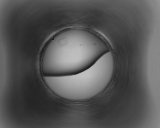 X0000100391460200806060823