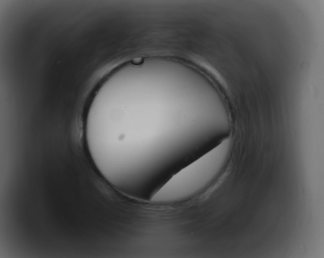 X0000100391461200806060823