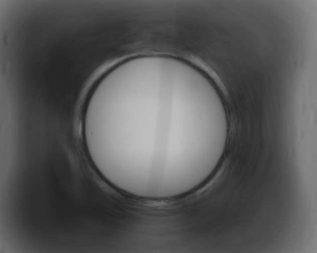 X0000100391462200806060823