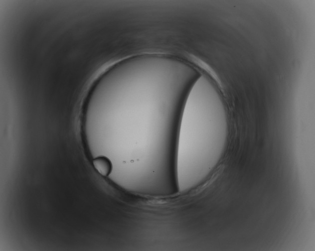 X0000100391463200806060823