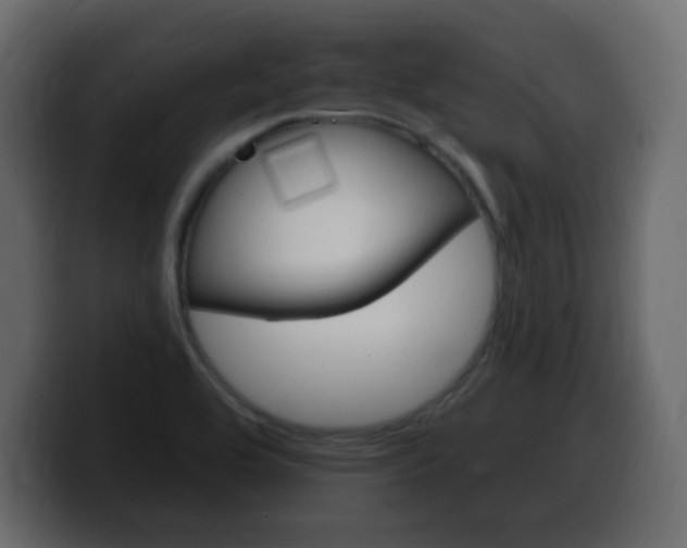 X0000100391464200806060823