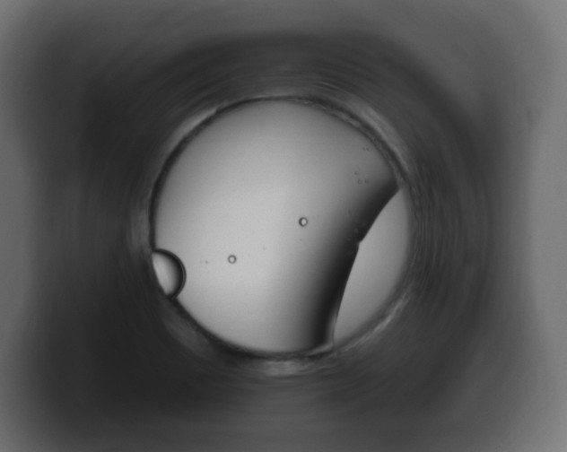 X0000100391465200806060823
