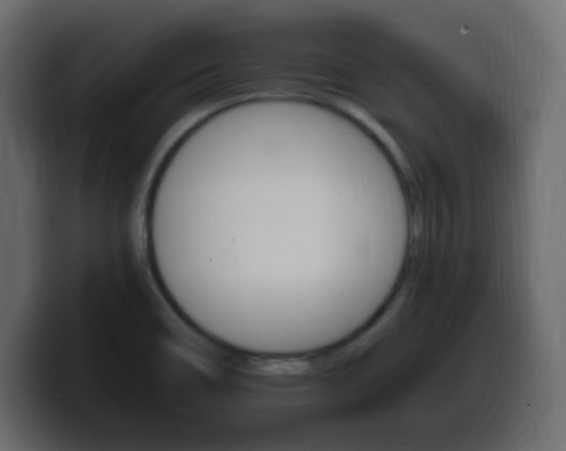 X0000100391466200806060823