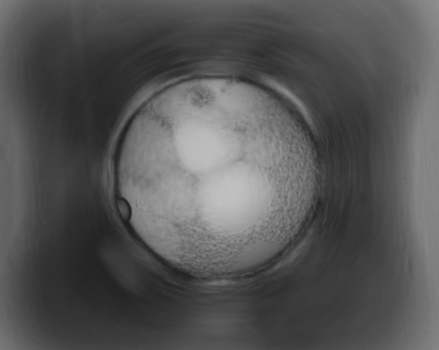 X0000100391467200806060823