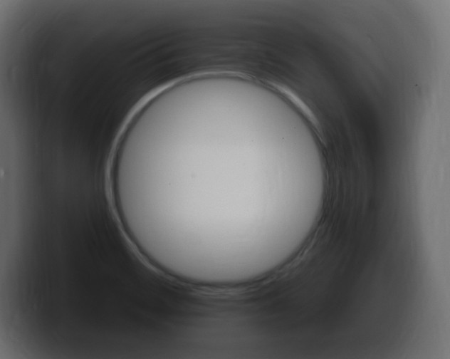 X0000100391468200806060823