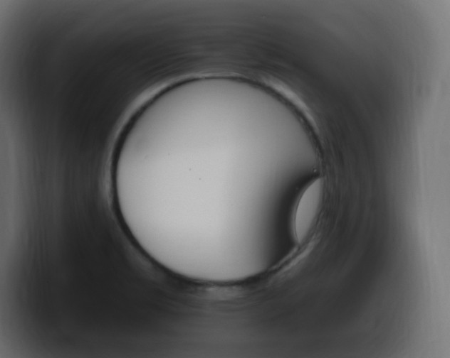 X0000100391469200806060823