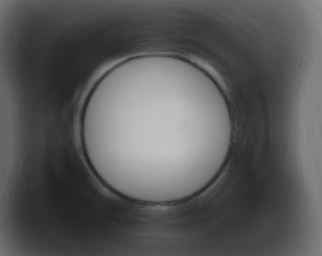 X0000100391470200806060823