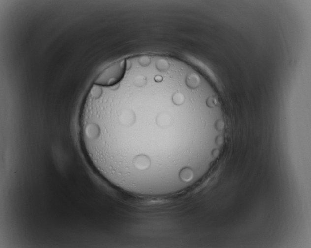 X0000100391471200806060823