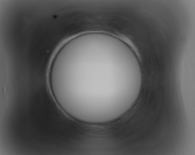 X0000100391472200806060823