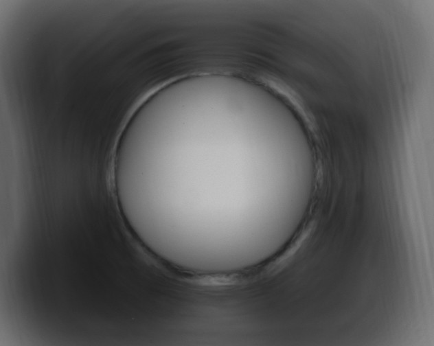 X0000100391473200806060823