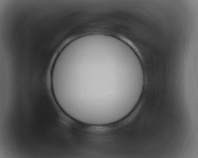 X0000100391474200806060823