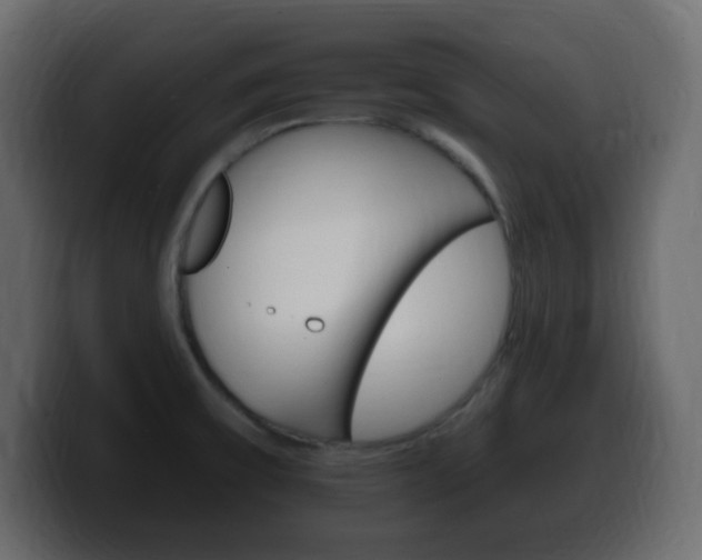 X0000100391475200806060823
