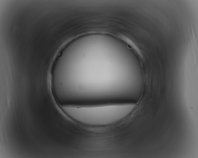 X0000100391476200806060823