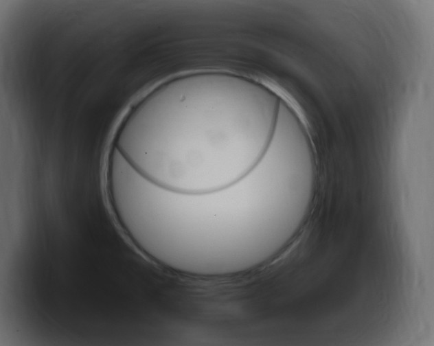 X0000100391477200806060823