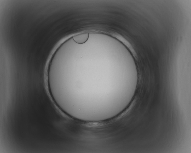 X0000100391478200806060823