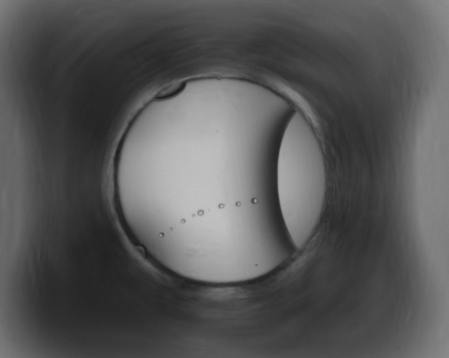 X0000100391479200806060823