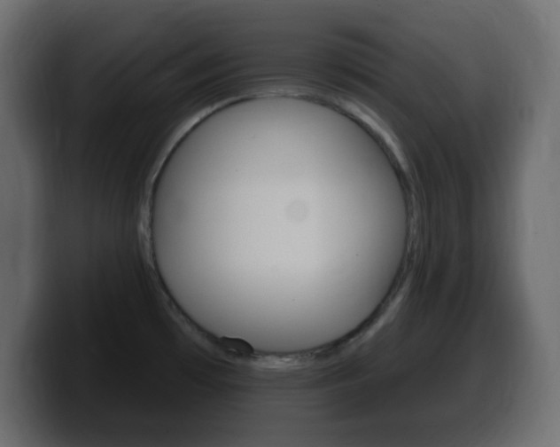 X0000100391481200806060823