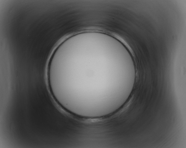 X0000100391482200806060823
