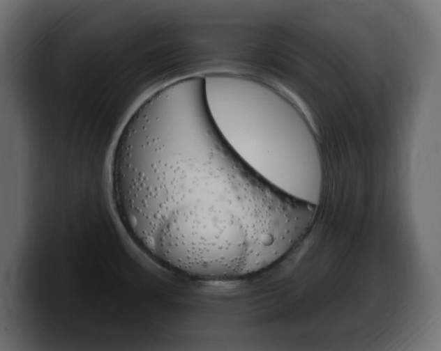 X0000100391483200806060823