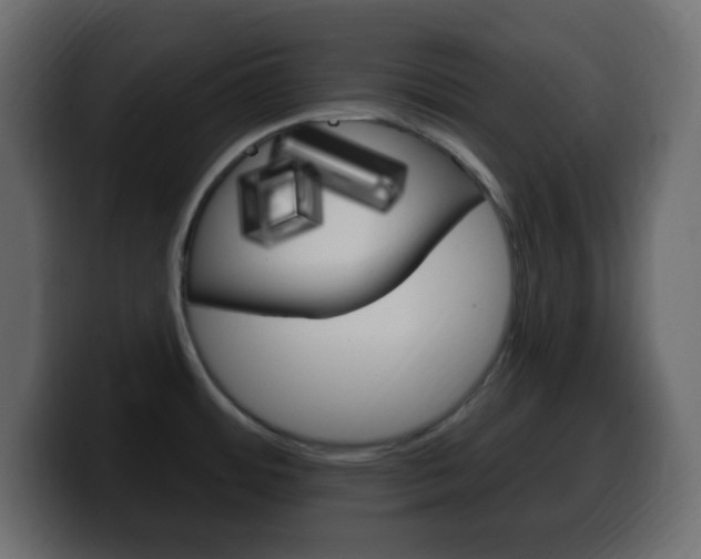 X0000100391484200806060823