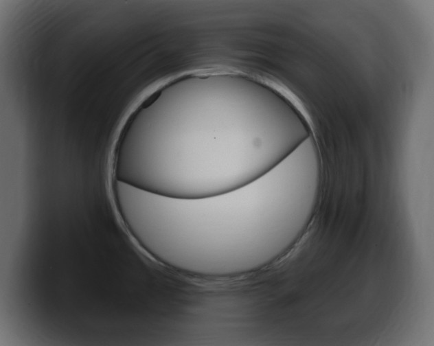X0000100391485200806060823